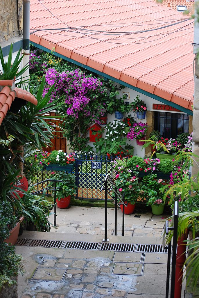 Traditional old town houses with colorful façades and balconies overflowing with beautiful, blooming pink and red flowers